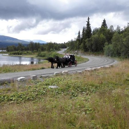Bergfosshytta 1 Sor Apartman Ron Kültér fotó